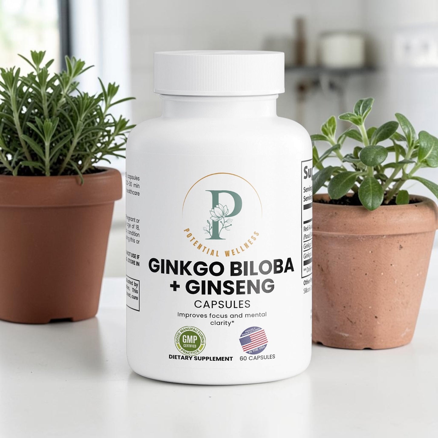Ginkgo Biloba + Ginseng