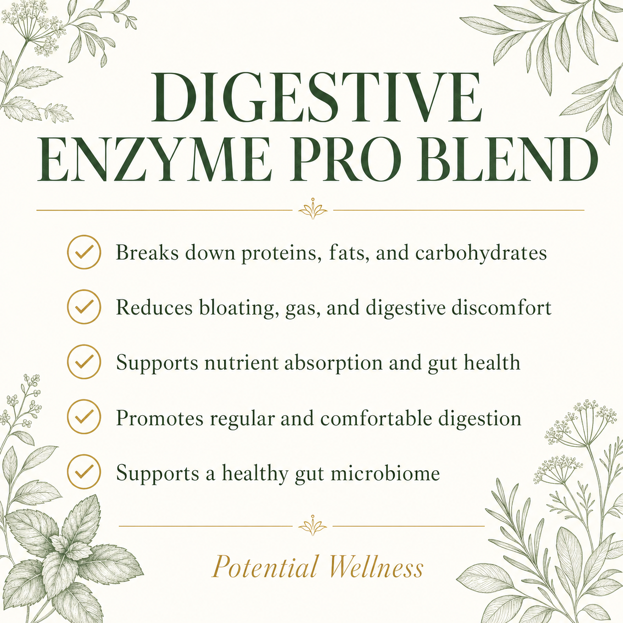 Digestive Enzyme Pro Blend