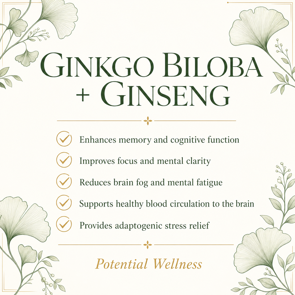 Ginkgo Biloba + Ginseng