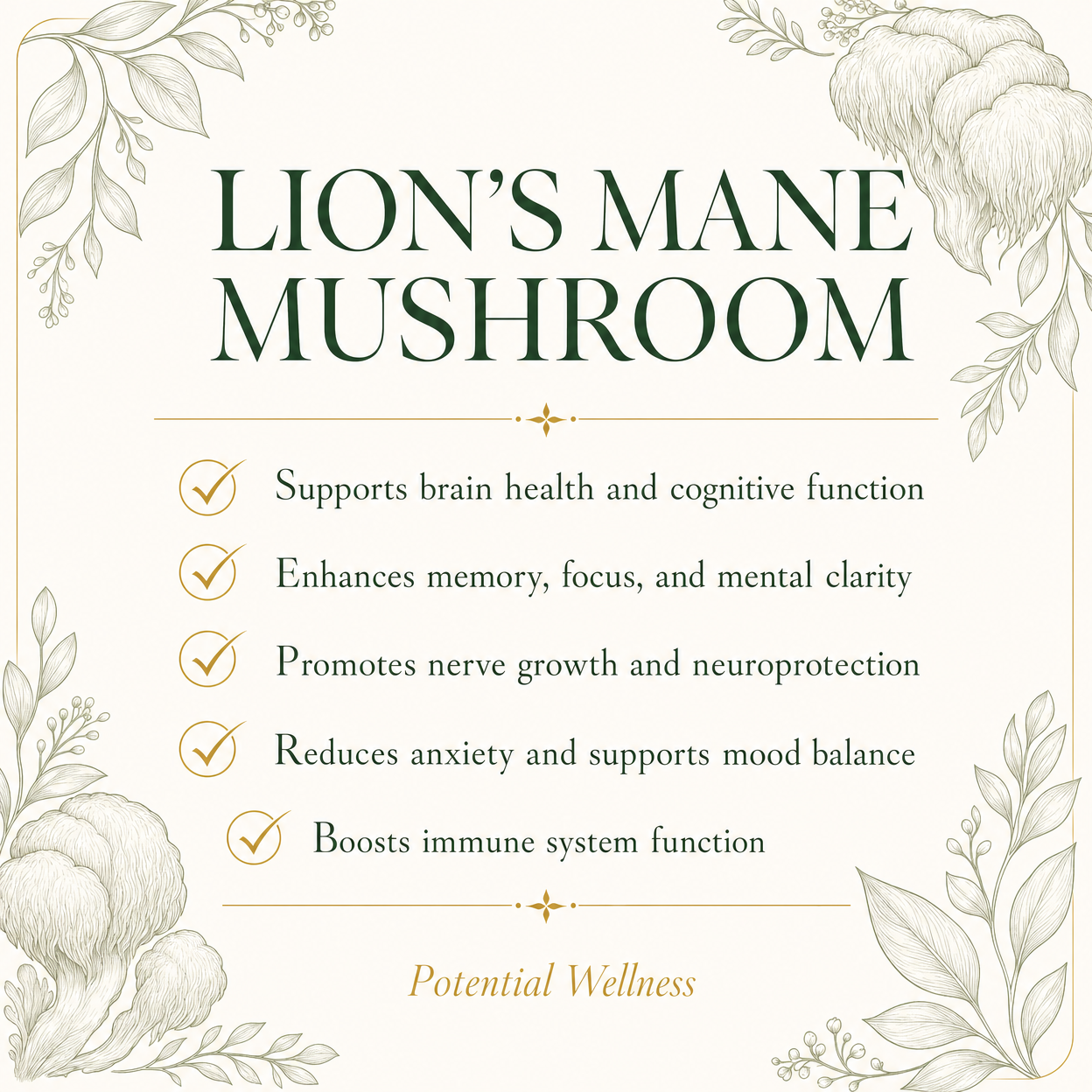 Lion's Mane Mushroom