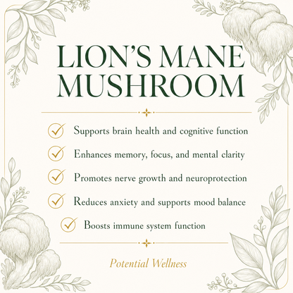 Lion's Mane Mushroom