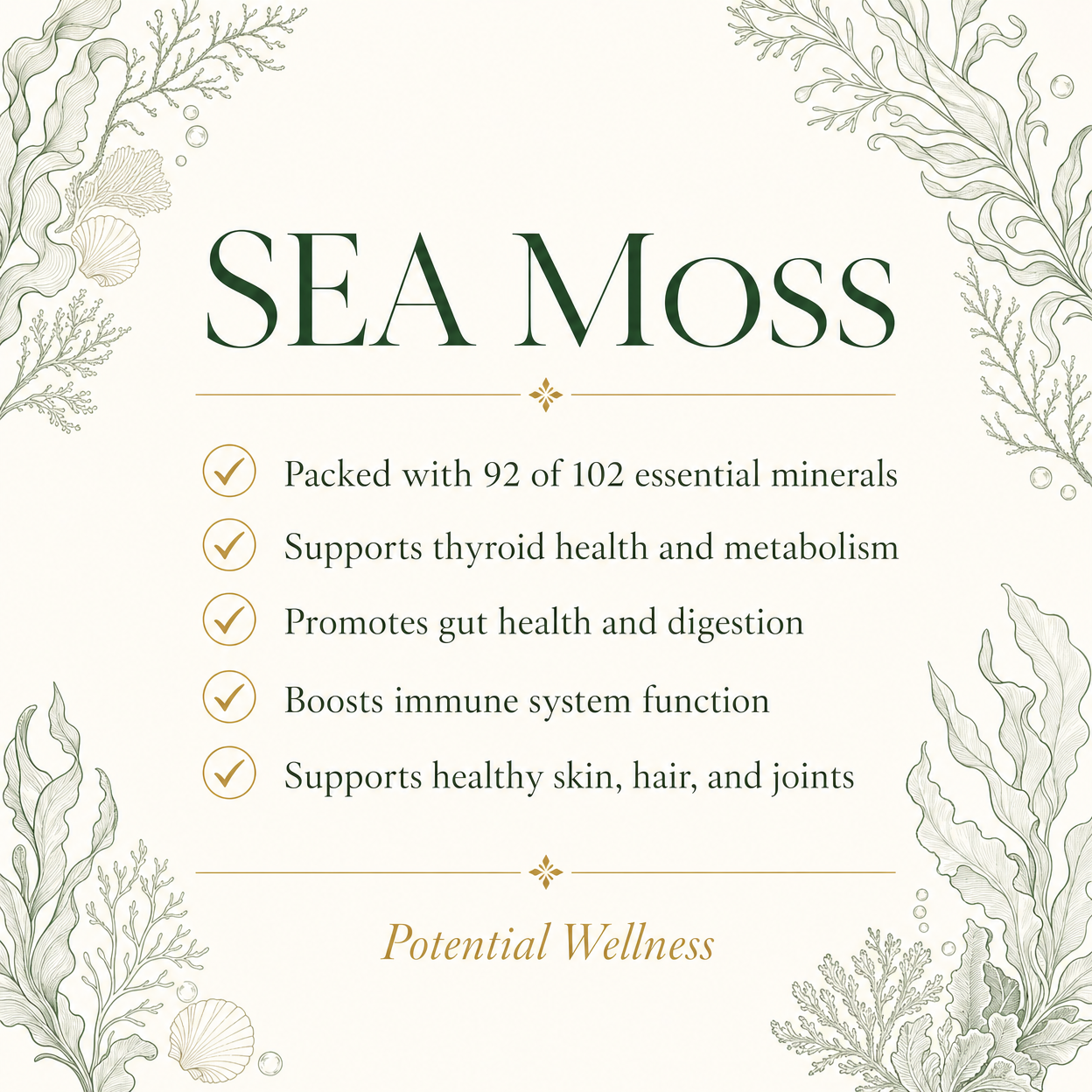 Sea Moss